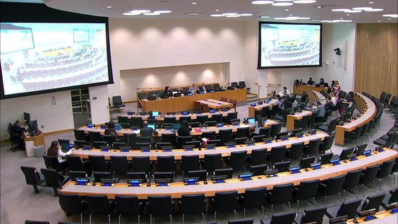 (18th plenary meeting) Committee on Non-Governmental Organizations, 2026 resumed session, Economic and Social Council