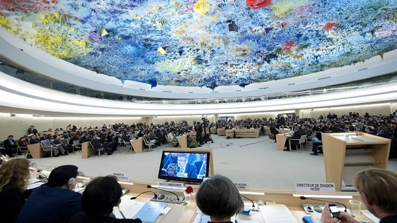 1st Meeting, Intersessional Seminar on Access to Medicines & Vaccines - Human Rights Council