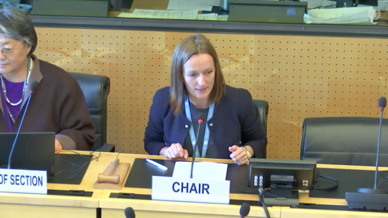 60th  Meeting, 74th Session, Committee on Economic, Social and Cultural Rights (CESCR)