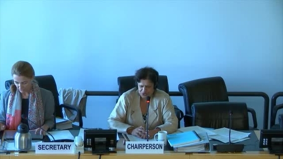 Informal Meeting with State Parties - 43rd Meeting 61st Session Committee on Economic, Social and Cultural Rights
