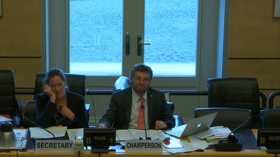General Comment on Article 6 (Cont'd) - 3323rd meeting 118th Session of Human Rights Committee