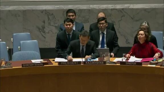 8163rd Security Council Meeting: Situation in Mali