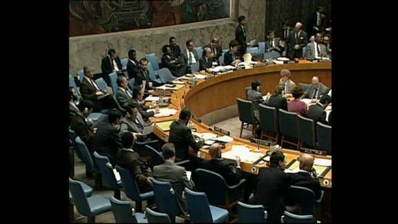 3149th Meeting of Security Council: Mozambique