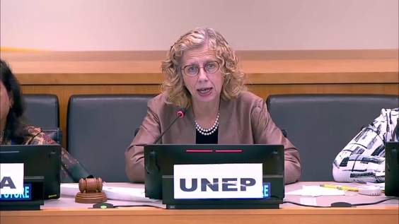 Empowering Youth for Sustainable Futures: Intergenerational Responsibility and Skills for a Just Transition (Side Event, Action Day 1, Summit of the Future)