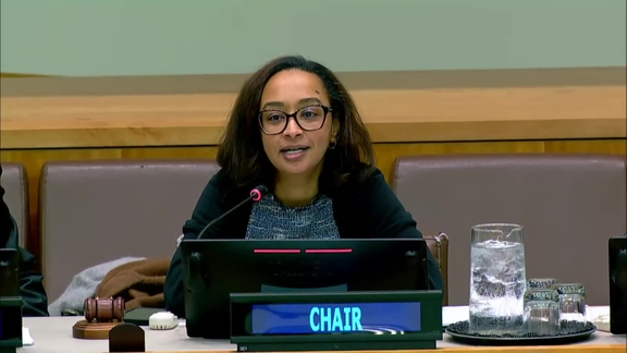 (5th plenary meeting) Committee on Non-Governmental Organizations, 2024 regular session, Economic and Social Council