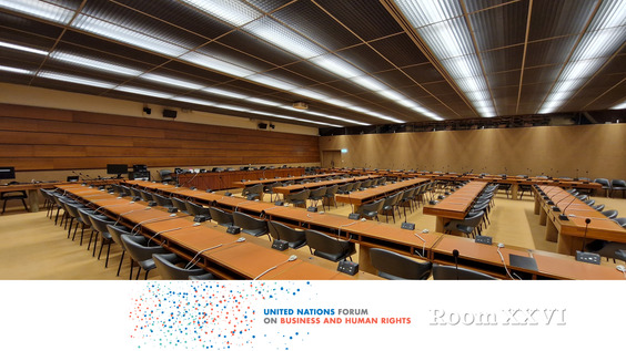 The updated OECD Guidelines - Day 2 (Room XXVI) Forum on Business and Human Rights 2023