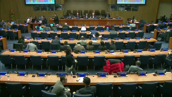 4th plenary - 51st session Commission on Population and Development