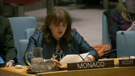 8241st Security Council Meeting: Maintenance of International Peace and Security Part 3