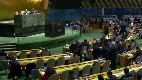 30th Plenary Meeting of General Assembly 73rd Session