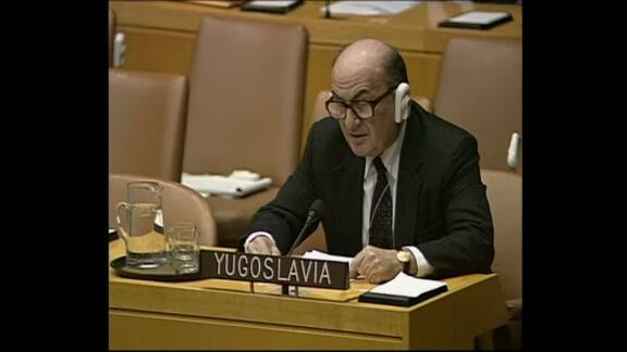 3336th Security Council Meeting: Bosnia and Herzegovina- Resumption 2, Part 2