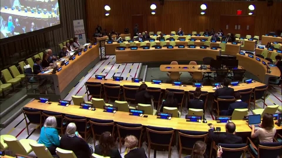 United Nations High Level Forum on The Culture of Peace - 20th Anniversary Convened by the President of the 73rd Session of the General Assembly