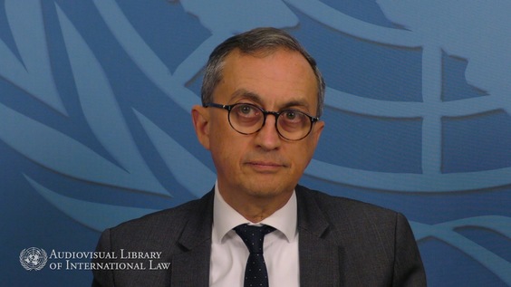 Juan Manuel Gómez Robledo - Guía para la Aplicación Provisional de los Tratados