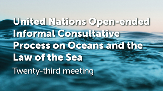 (Discussion panel) Segment 1 - Open-ended Informal Consultative Process on oceans and the law of the sea