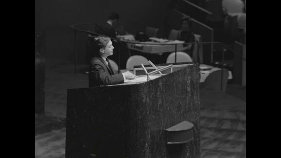 1115th and 1116th Plenary Meetings of General Assembly: 16th Session