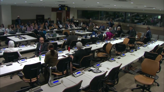 Financing Disability Inclusion at Scale: Advancing Domestic Resource Mobilization and International Cooperation in the CRPD's Next Decade