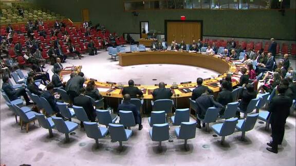 8358th Security Council Meeting: Situation in Middle East, Including Palestinian Question