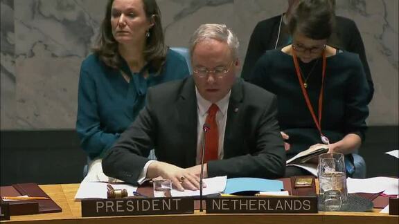 8207th Security Council Meeting: Situation in Democratic Republic of Congo