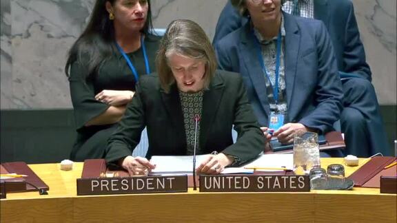 8679th Security Council Meeting: Situation in Central Africa