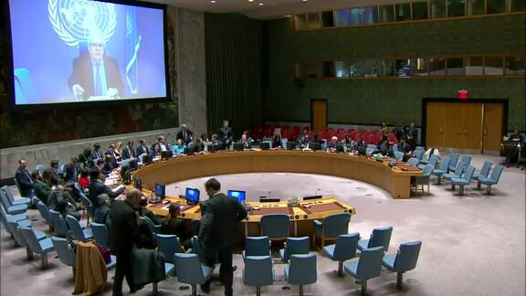 8672nd Security Council Meeting: Situation in Middle East