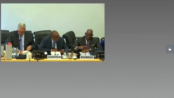 Consideration of Mozambique (Cont'd) - 398th Meeting 29th Session Committee on Migrant Workers