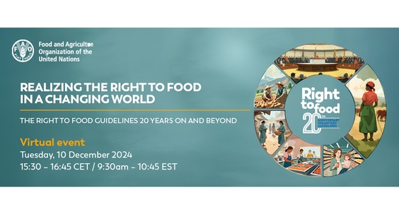 Realizing the Right to Food in a Changing World: The Right to Food Guidelines – 20 Years On and Beyond