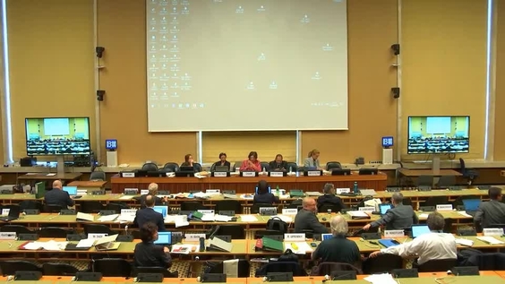 Meeting with States - 48th Meeting 64th Session Committee on Economic, Social and Cultural Rights