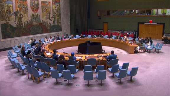 (resumed) Women and Peace and Security - Security Council, 9981st meeting