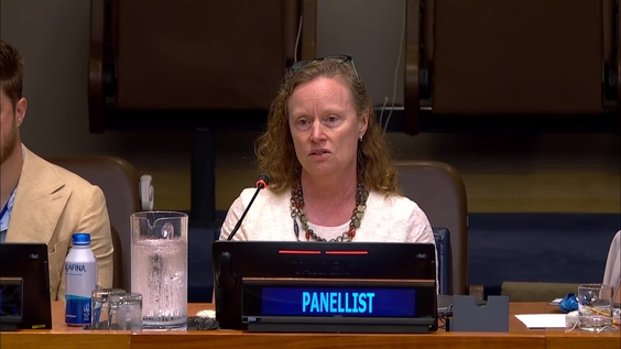 Open-ended Informal Consultative Process on Oceans and the Law of the Sea (ICP26)