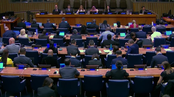 (3rd meeting) Sixteenth session of the United Nations Committee of Experts on Global Geospatial Information Management (UN-GGIM)