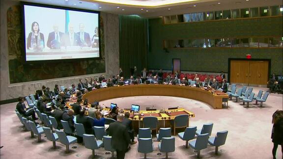 8113rd Security Council Meeting: The Situation in the Middle East