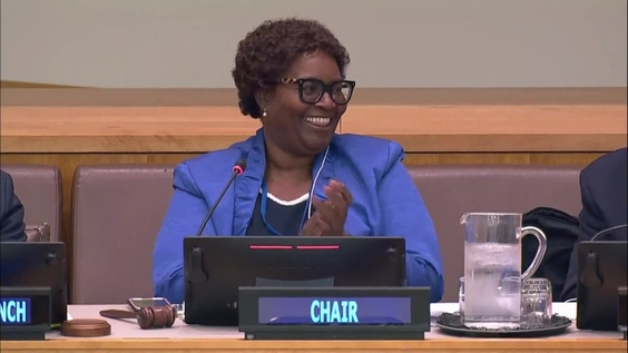 29th meeting, Committee on Non-Governmental Organizations - 2023 resumed session, Economic and Social Council