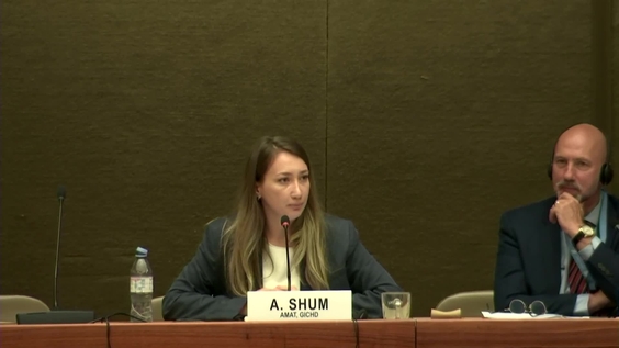 1st Meeting, 2025 Protocol V Meeting of Experts (CCW)