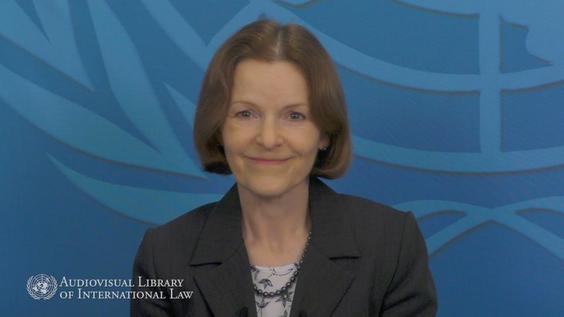 Marja Lehto - Protection of the Environment in Armed Conflicts