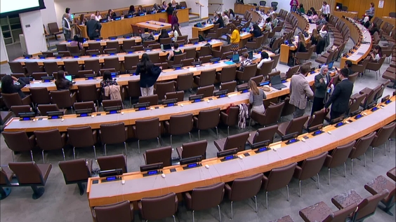 Launch of the Guidance document on Substantive Gender Equality - 42nd session of the Working Group on discrimination against women and girls