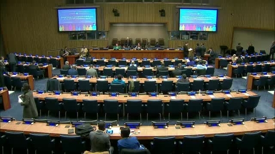 (5th meeting) Commission on Population and Development, Forty-ninth session