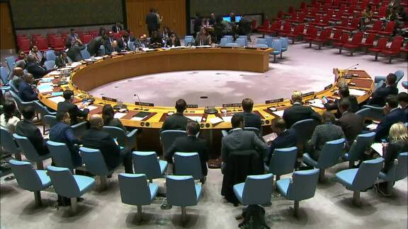 8438th Security Council Meeting: Situation in Guinea-Bissau