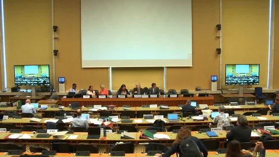 Day of General Discussion (Cont'd) - 52nd Meeting 64th Session Committee on Economic, Social and Cultural Rights