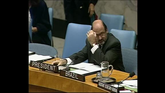 3285th Meeting of Security Council: UNPROFOR