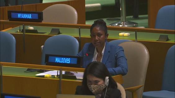 First Committee, 8th meeting - General Assembly, 75th session