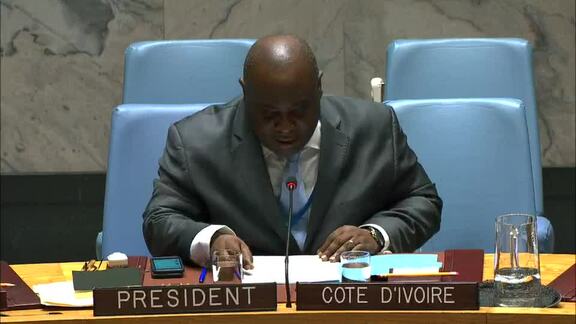 8428th Security Council Meeting: Briefing by Chairs of Subsidiary Bodies