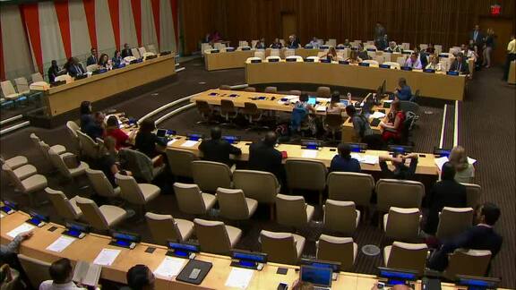 1st Plenary Meeting of Economic and Social Council 2019 Session