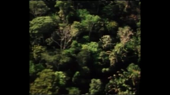 The Earth Summit