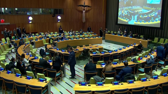 Small arms and light weapons control for preventing violence and advancing sustainable development - Joint meeting of the General Assembly and Economic and Social Council - General Assembly, 79th session