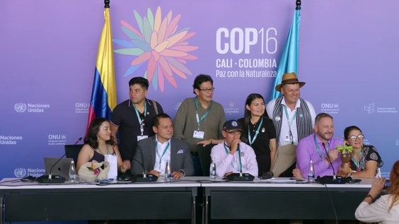 Press Conference: Commission on Water and Biodiversity of the Senate of the Republic – United Nations Biodiversity Conference 2024