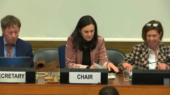 Consideration of Luxembourg (Cont'd) - 1587th Meeting 69th Session Committee on the Elimination of Discrimination Against Women 