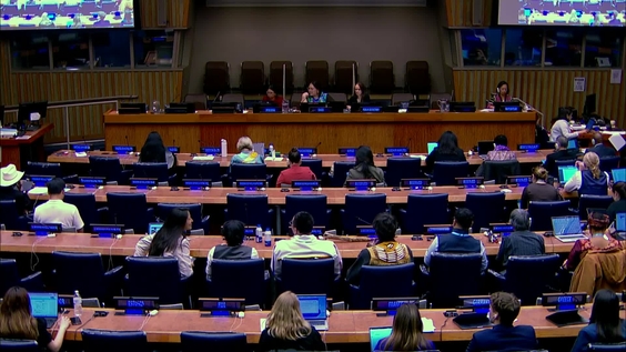 (9th meeting) UN Permanent Forum on Indigenous Issues, 25th session