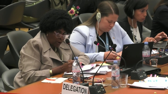 2107th Meeting, 89th Session, Committee on the Elimination of Discrimination against Women (CEDAW)