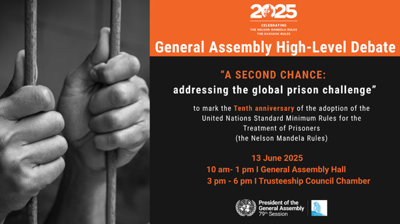 General Assembly, High-level debate, 79th session.
