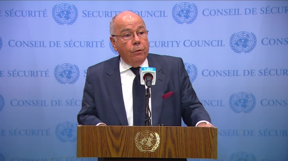 Mauro Luiz Iecker Vieira (Brazil) on the situation in the Middle East - Security Council Media Stakeout