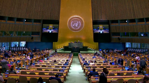 General Assembly: 115th plenary meeting, 80th session